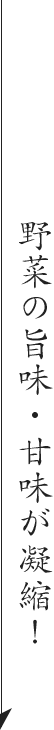 野菜の旨味・甘味が凝縮！